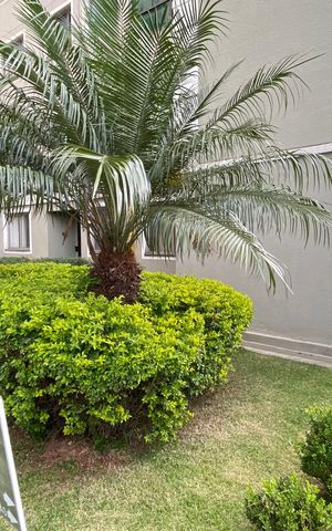 Apartamento para alugar com 68m², 2 quartos e sem vaga Apartamento para alugar com 68m², 2 quartos e sem vagaÁrea comum