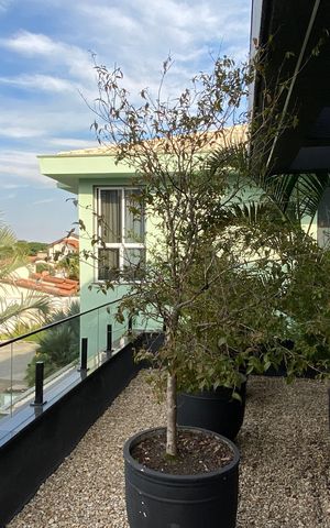 Casa à venda com 600m², 4 quartos e 8 vagas Casa à venda com 600m², 4 quartos e 8 vagasVaranda da Sala