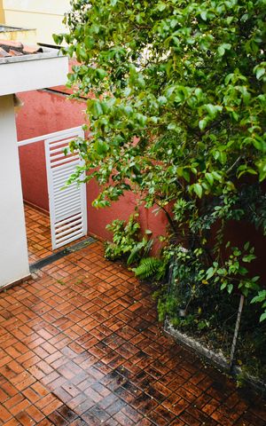 Casa à venda com 430m², 2 quartos e 3 vagas Casa à venda com 430m², 2 quartos e 3 vagasCasa fundos vista