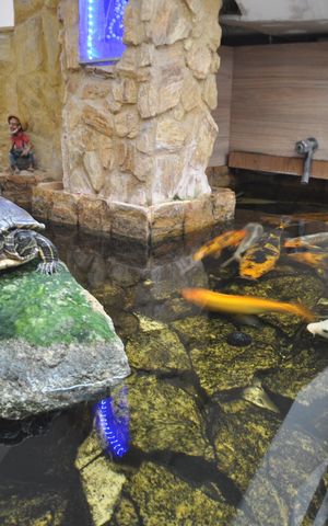 Casa de condomínio à venda com 239m², 4 quartos e sem vagaTanque de peixes