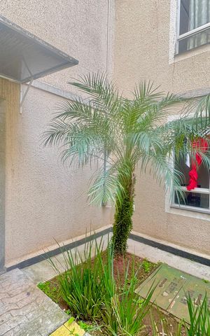 Apartamento para alugar com 43m², 2 quartos e 1 vaga Apartamento para alugar com 43m², 2 quartos e 1 vagaPlaca instalada na fachada do imóvel