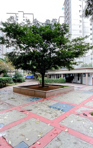 Apartamento à venda com 53m², 2 quartos e 1 vagaÁrea comum