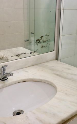 Apartamento para alugar com 73m², 2 quartos e 1 vaga Apartamento para alugar com 73m², 2 quartos e 1 vagaBanheiro