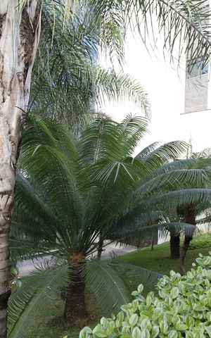 Apartamento à venda com 184m², 3 quartos e 3 vagasÁrea comum