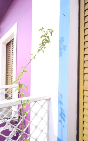 Casa para alugar com 120m², 2 quartos e sem vagaVaranda