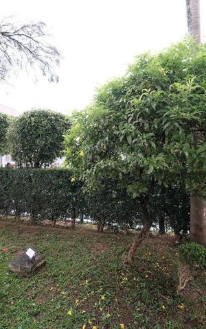 Apartamento à venda com 56m², 2 quartos e 1 vagaQuarto 2