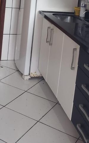 Apartamento para alugar com 58m², 1 quarto e sem vaga