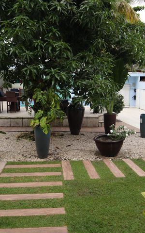 Casa de condomínio para alugar com 525m², 3 quartos e 6 vagasquintal