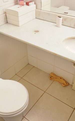 Apartamento para alugar com 70m², 3 quartos e 1 vagaBanheiro da Suíte
