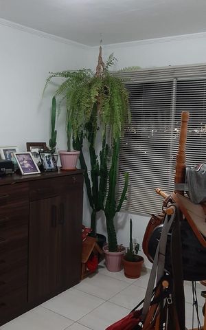 Apartamento para alugar com 156m², 2 quartos e 1 vaga