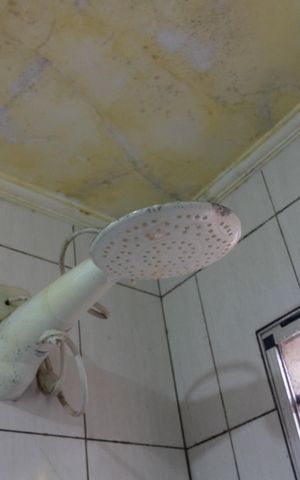 Casa para alugar com 450m², 8 quartos e 5 vagasBanheiro do Quarto 2 suíte - Apartamento 2