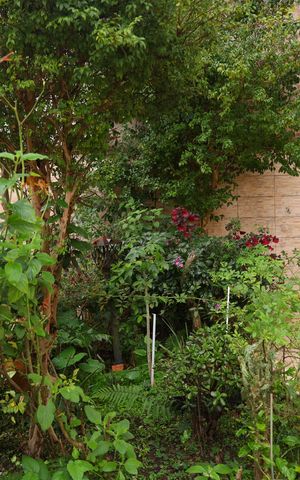 Casa à venda com 320m², 3 quartos e 5 vagasQuintal - Jardim