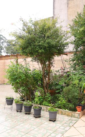 Casa à venda com 320m², 3 quartos e 5 vagasQuintal - Jardim