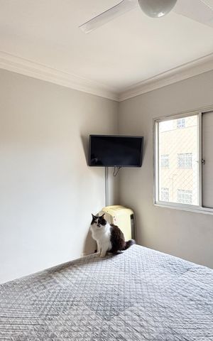 Apartamento à venda com 54m², 2 quartos e 1 vaga Apartamento à venda com 54m², 2 quartos e 1 vagaQuarto 2