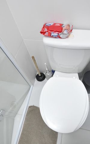 Apartamento à venda com 52m², 2 quartos e 2 vagasBanheiro