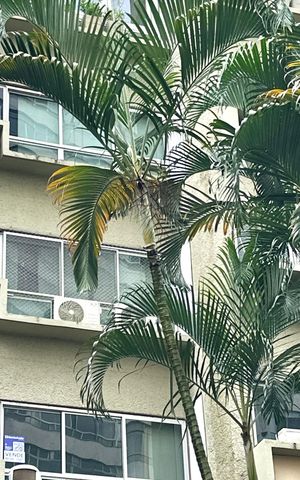 Apartamento à venda com 160m², 4 quartos e 2 vagas