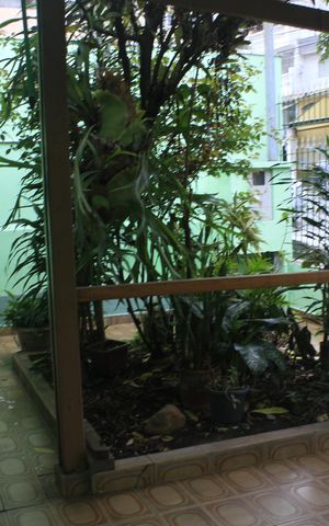Casa à venda com 134m², 2 quartos e 2 vagasQuintal e garagem