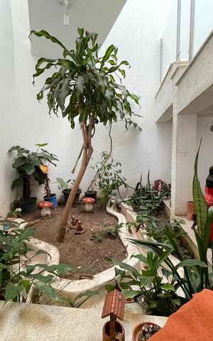 Casa à venda com 650m², 5 quartos e 6 vagas Casa à venda com 650m², 5 quartos e 6 vagasSala