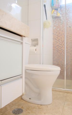 Apartamento à venda com 54m², 2 quartos e 1 vagaBanheiro