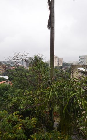 Apartamento à venda com 78m², 2 quartos e 1 vagaVista da Sala