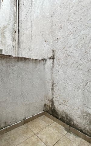 Apartamento à venda com 1300m², 2 quartos e sem vagaQuintal