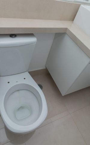 Apartamento para alugar com 62m², 2 quartos e 1 vaga Apartamento para alugar com 62m², 2 quartos e 1 vagaBanheiro
