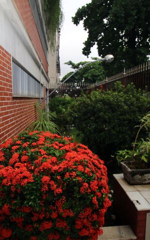 Apartamento à venda com 90m², 2 quartos e 2 vagasÁrea comum - Jardim