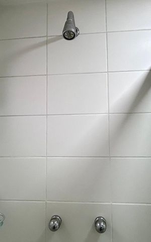 Apartamento para alugar com 114m², 4 quartos e 2 vagas Apartamento para alugar com 114m², 4 quartos e 2 vagasBanheiro da Suíte