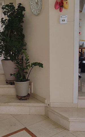 Casa para alugar com 420m², 4 quartos e 4 vagas