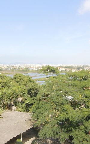Apartamento para alugar com 55m², 2 quartos e 1 vagaVista da Varanda