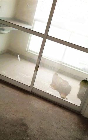 Apartamento para alugar com 69m², 2 quartos e 2 vagas