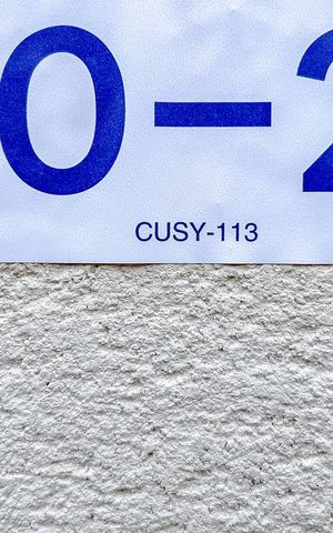Apartamento à venda com 27m², 1 quarto e sem vagaCUSY-113