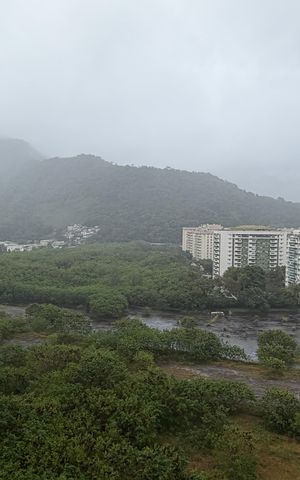 Apartamento para alugar com 77m², 2 quartos e 1 vagaSuíte 1 - Vista