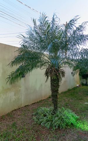 Apartamento à venda com 55m², 2 quartos e 1 vaga