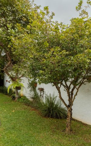 Casa à venda com 680m², 3 quartos e 5 vagasQuintal