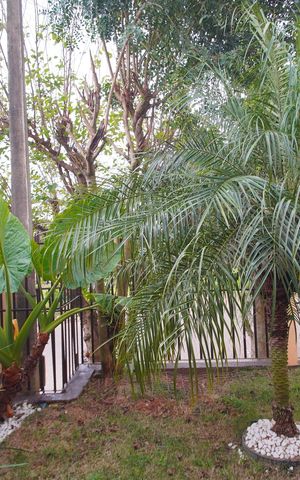 Casa à venda com 80m², 2 quartos e 2 vagasVista do Quarto 1