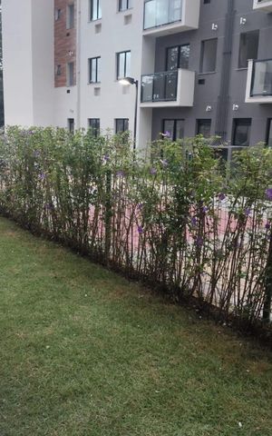Apartamento à venda com 56m², 1 quarto e 1 vaga Apartamento à venda com 56m², 1 quarto e 1 vagaÁrea externa