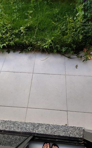 Apartamento à venda com 56m², 1 quarto e 1 vaga Apartamento à venda com 56m², 1 quarto e 1 vagaÁrea externa