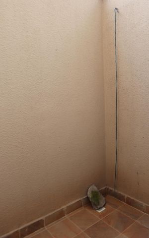 Apartamento à venda com 50m², 2 quartos e sem vagaQuintal 2