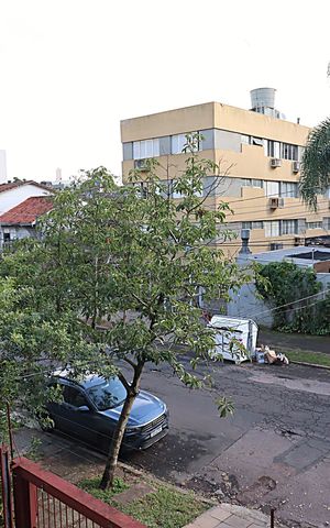 Apartamento à venda com 48m², 1 quarto e 1 vagaVista da Sala