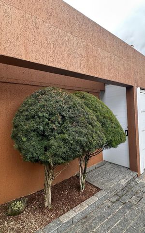 Casa à venda com 360m², 4 quartos e 2 vagas