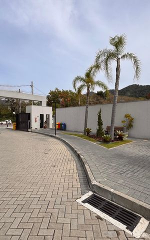 Apartamento à venda com 50m², 2 quartos e 1 vaga