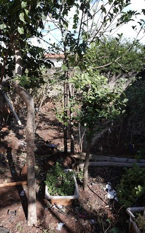 Casa à venda com 300m², 3 quartos e 3 vagas