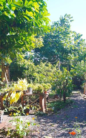 Casa à venda com 70m², 1 quarto e 6 vagasÁrea externa