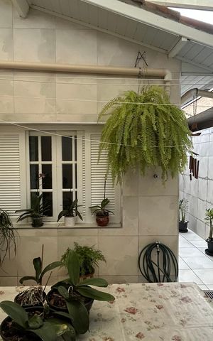 Casa à venda com 120m², 3 quartos e 2 vagas Casa à venda com 120m², 3 quartos e 2 vagasÁrea Gourmet