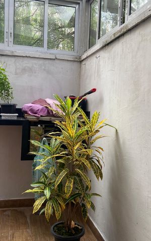 Apartamento à venda com 78m², 2 quartos e 1 vagaVaranda - Garden