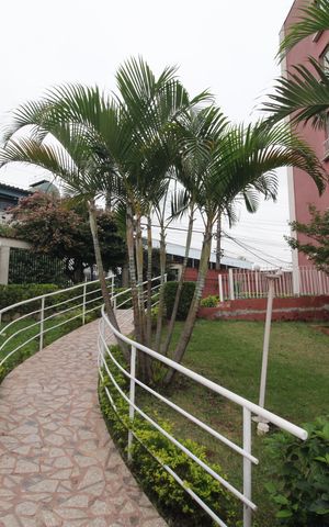 Apartamento à venda com 59m², 2 quartos e 1 vagaÁrea Comum