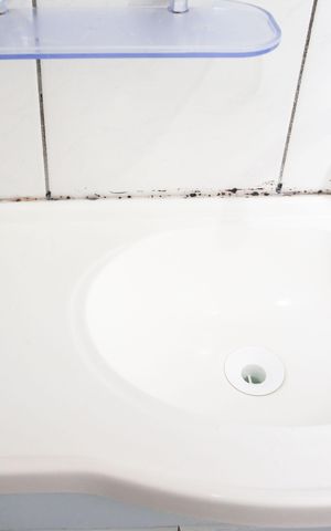 Apartamento à venda com 40m², 2 quartos e 1 vagaBanheiro social
