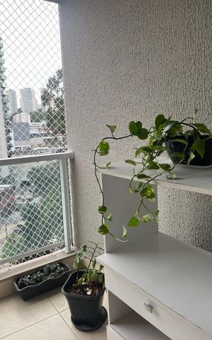 Apartamento à venda com 60m², 2 quartos e 2 vagas