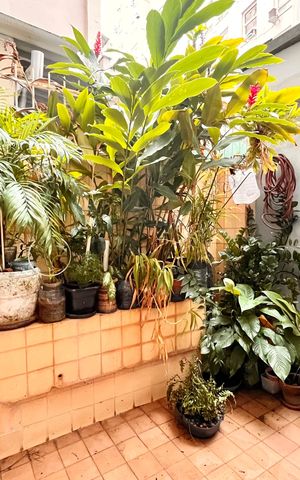 Apartamento à venda com 143m², 3 quartos e 1 vaga